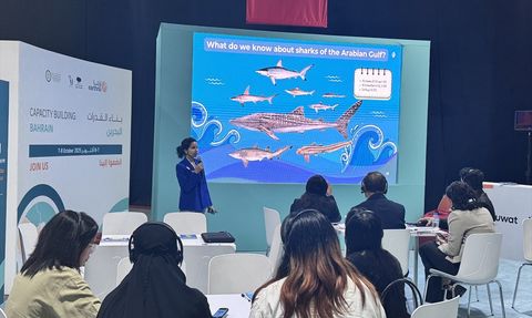 Katar'da Ulusal İklim Değişikliği Diyaloğu Konferansı