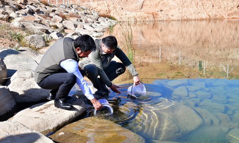 Kırşehir'de 3 Bin Kırmızı Benekli Alabalık Salımı