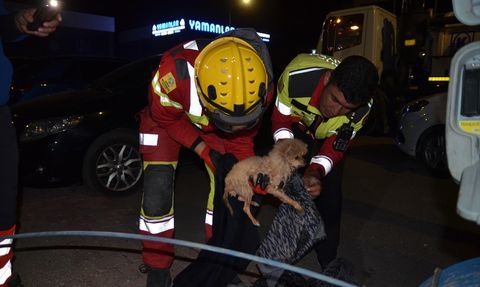 Konya'da İtfaiye Ekipleri Kanalizasyon Borusuna Sıkışan Köpek Yavrusunu Kurtardı