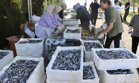 KTÜ'ye Hoş Geldin Etkinliği: 3 Ton Hamsi İkramı