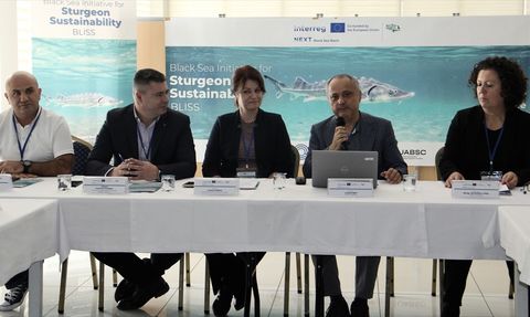 Mersin Balığı Koruma Projesi Başladı