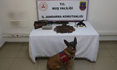 Muş'ta Tezek Altında Saklanan Silah ve Mühimmat Ele Geçirildi