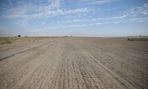 Niğde'de Tarıma Yönelik Yenilikçi Çalışmalar: Korunga Yetiştiriliyor