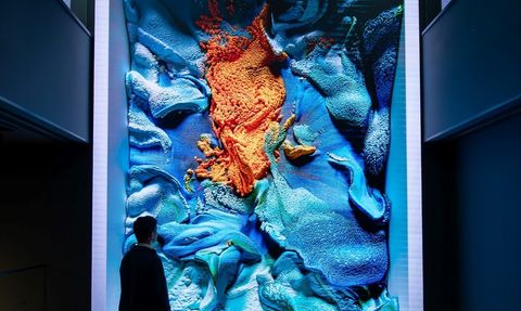 Refik Anadol'un 'Türkiye-Flora' Eseri İle Sanat Dünyasında Yeni Bir Dönem Başlıyor