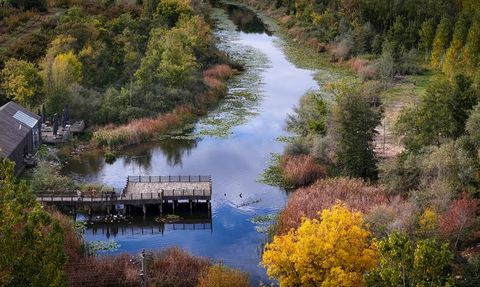 Sakarya'nın Acarlar Longozu ve Büyük Melen Çayı Sonbahar Renkleriyle Büyülüyor
