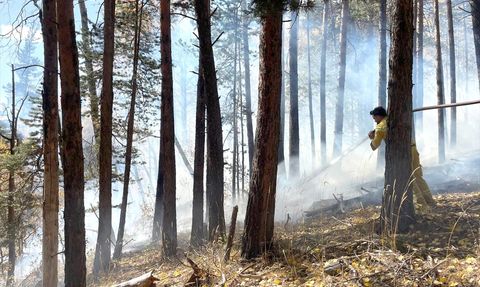 Sarıkamış'ta Orman Yangını: 1.5 Hektar Alan Kullanılamaz Hale Geldi
