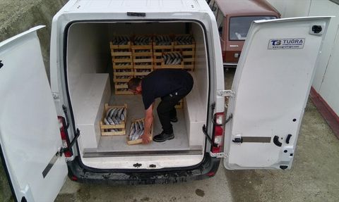 Sinop'ta Balıkçıdan Bereketli Palamut Avı