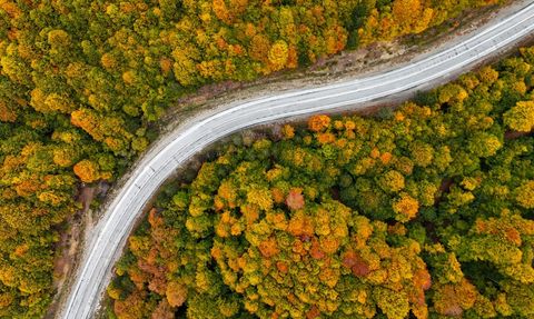 Sonbahar Renkleriyle Büyüleyen Domaniç Dağları