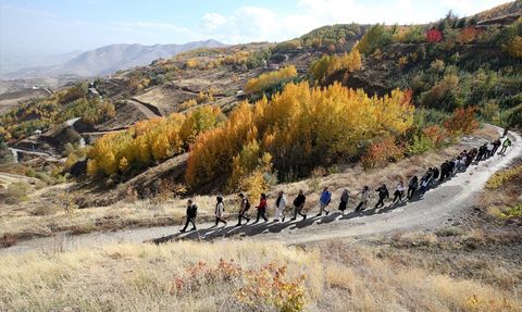 Sonbahar Renkleriyle Doğa Yürüyüşü