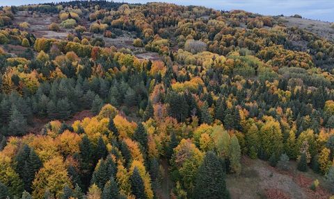 Sonbaharın Renkleri Sinop'ta Hayran Bırakıyor
