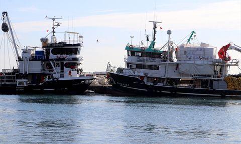 Tekirdağlı Balıkçılar Havanın Soğumasını Bekliyor