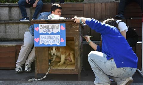 Trabzon'da Öğrencilerden Renkli Hayvan Koruma Günü Etkinliği