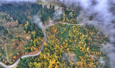Trabzon'un Yüksek Kesimleri Sonbahar Renkleriyle Şenlendi