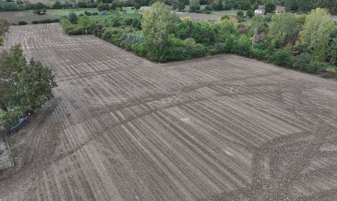 Trakya'da Yağışlar Çiftçileri Sevindirdi