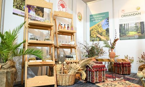 Türkiye'nin Flora Zenginliği Avrupa ile Yarışıyor