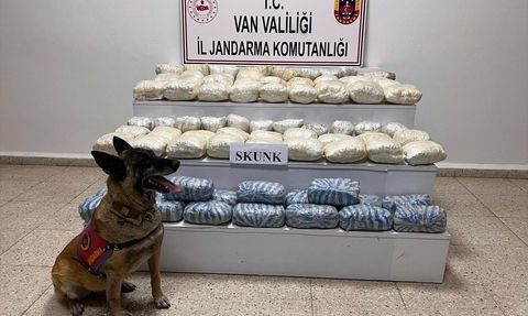 Van'da 47 Kilo 800 Gram Skunk Ele Geçirildi