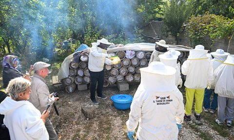 Van'da Turistler Bal Hasadı Yaparak Eşsiz Bir Deneyim Yaşadı