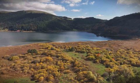 Abant Gölü Milli Parkı'na Hafta Sonu Ziyaretçi Akını