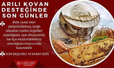 Adana'da arılı kovan desteği başvurularında son gün: 14 Kasım 2025