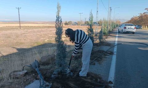 Adilcevaz'da 500 Fidan Dikimi Etkinliği