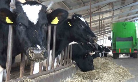 Aksaray'da Damızlık Sığır Yetiştiricileri Birliği Personeline Eğitim Verildi