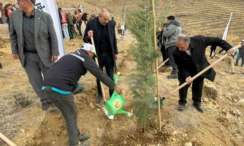 Ali Dağı zirvesine 1111 fidan dikildi