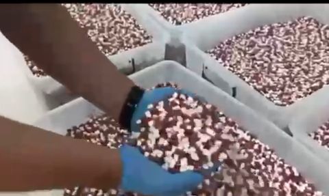 Antalya'da Uyuşturucu İmalathanesine Büyük Operasyon: 1.8 Milyon Hap Ele Geçirildi