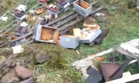 Araklı’da ayı saldırısı: Ziya Kotaman’ın 50’den fazla kovanı zarar gördü