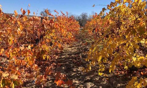 Arapgir'de Sonbaharın Kartpostallık Renkleri