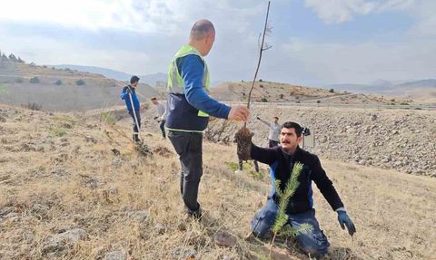 Aras Elektrik 11 Kasım’da Sorumluluk Bölgesinde Fidan Dikti