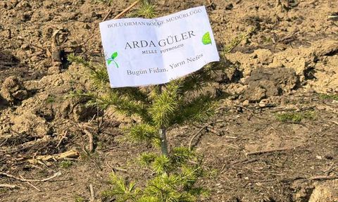 Arda Güler adına fidan dikildi — Bolu'da 11 Kasım etkinliği