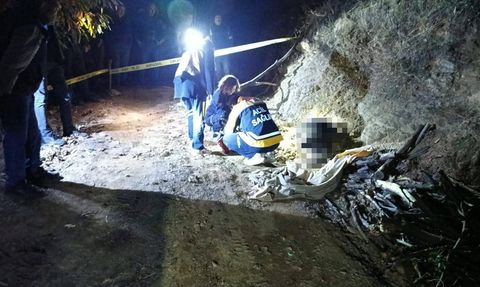 Aydın'da Traktör Yanında Bulunan Yaşlı Adamın Ölümü