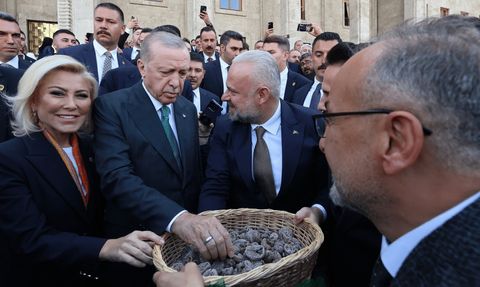 Aydın Pehlivan'dan Cumhurbaşkanı Erdoğan'a Bozalan İnciri İkramı