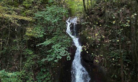 Aydınpınar Şelalesi: Düzce'nin Saklı Cenneti