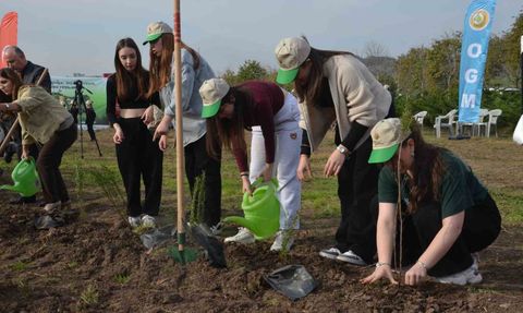 Bafra'da 8 bin fidanla geniş çaplı ağaçlandırma etkinliği