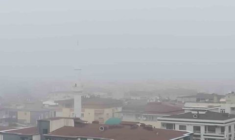 Batman'da yoğun sis trafikte aksamalara neden oldu