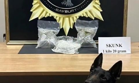 Bayburt’ta otobüste 1 kilo 20 gram skunk ele geçirildi