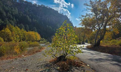 Belemedik Tabiat Parkı sonbaharda renk cümbüşü yaşadı
