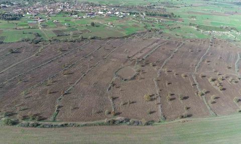 Biga'da 2 yılda 845 dekar mera ıslahı