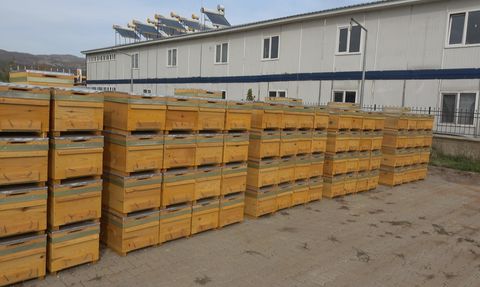 Bingöl'de Organik Bal Üretimi Artıyor