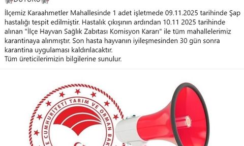 Bozdoğan'da şap tespit edildi: Tüm mahalleler karantinaya alındı