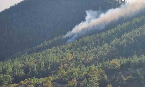 Bozyazı'da orman yangını kontrol altına alındı