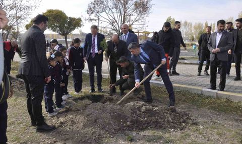 Bulanık’ta 3 bin fidan 11 Kasım’da toprakla buluştu