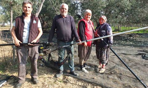 Burhaniye'de makineli zeytin hasadı verimi artırıyor