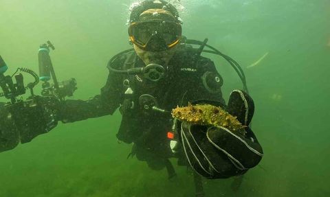 Büyükakın dalgıç kıyafetiyle İzmit Körfezi’ne daldı: Deniz tabanında yaşam kıpırdanıyor