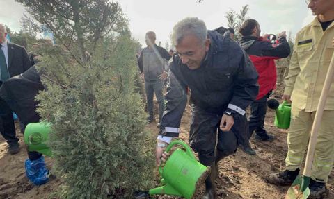 Çanakkale'de 11 Kasım Milli Ağaçlandırma Günü'nde 20 bin fidan toprakla buluştu