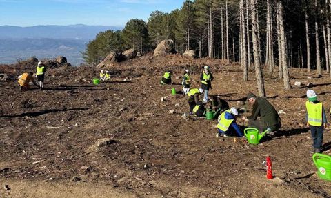 Çine’de ilkokul öğrencilerine orman faaliyetleri ve fidan dikimi anlatıldı