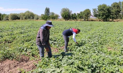 ÇKS başvuruları 31 Aralık 2025'te sona eriyor