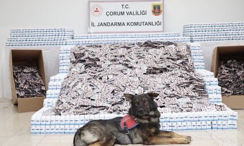 Çorum Jandarması'ndan dev uyuşturucu operasyonu: 736 bin 217 hap ele geçirildi