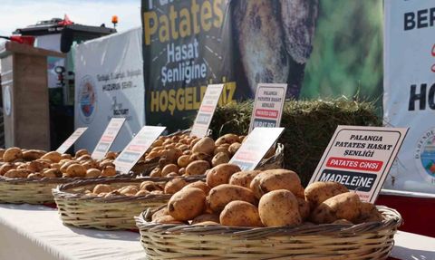 Darende'de Yerli Patates Tohumu Şenliği Coşkusu